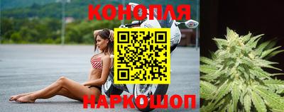 индика Малоярославец